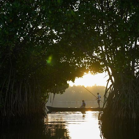 Kalloos Island Backwater Resort 科兰 外观 照片